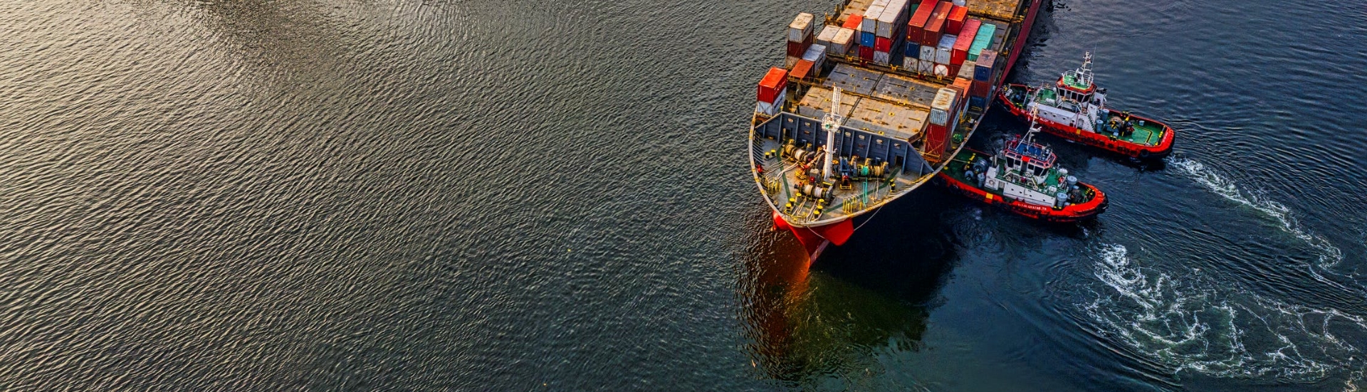 TRIPLE SEVEN SOLUTION L.L.C